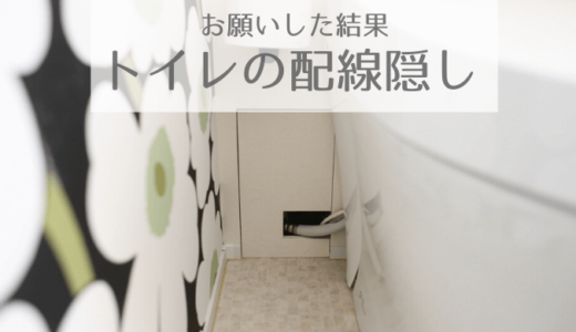《web内覧会2019》トイレ2 スッキリを目指したトイレ空間と配管隠し